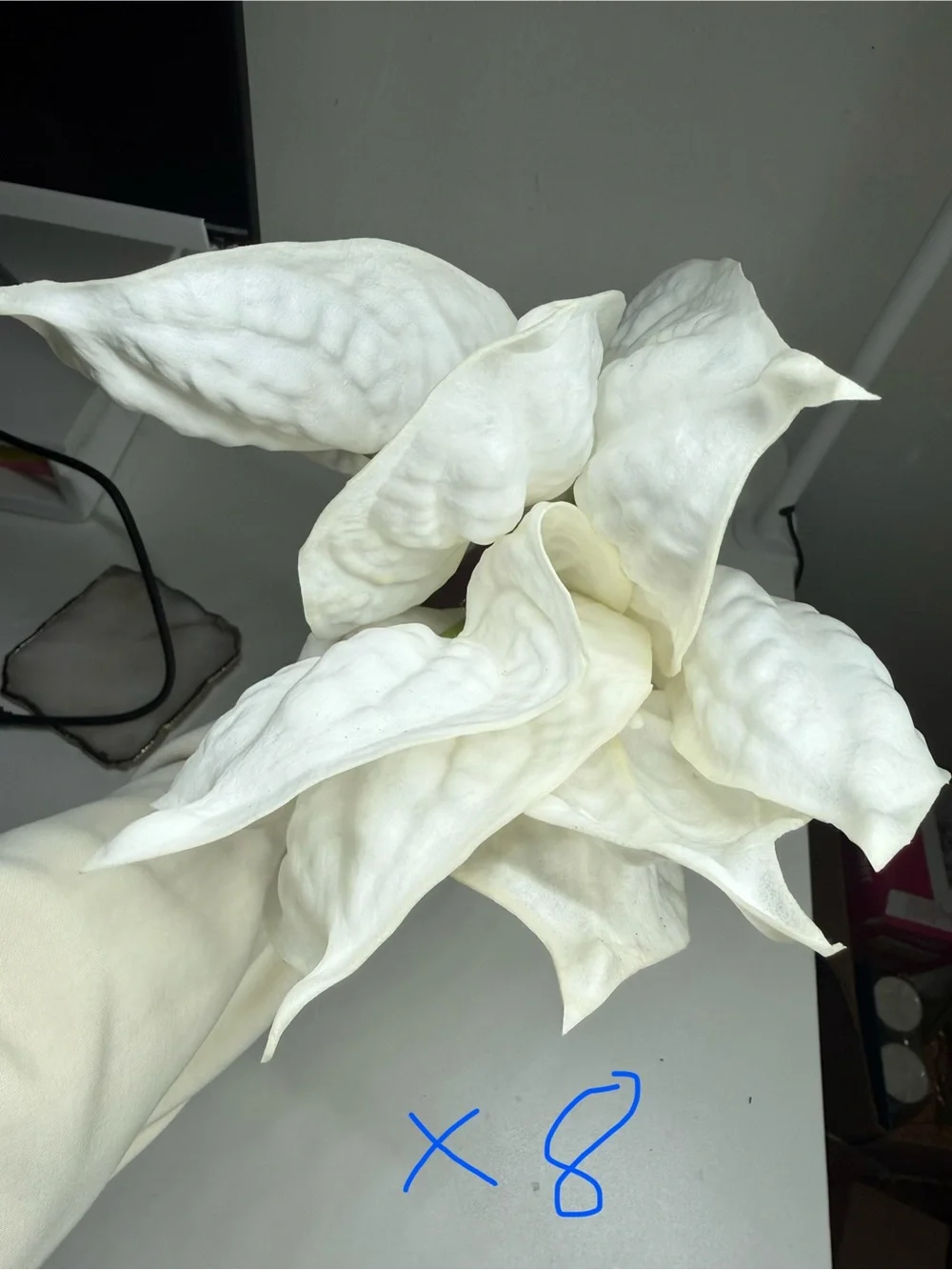 White Anthurium Faux Flower Bundle - Home Accents